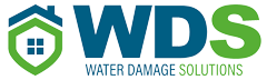 WDS Logo