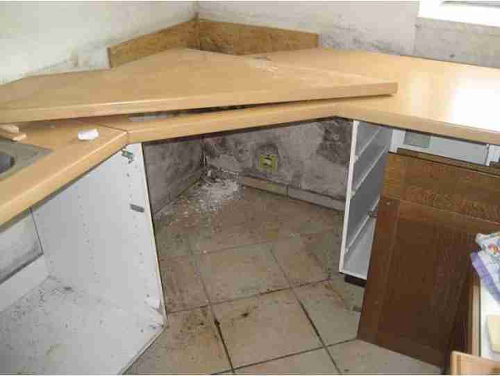 Eck-Küche mit hellbrauner Arbeitsplatte, die aufgesägt wurde. Dahinter an der Wand ein grauer Schimmel Wasserschaden. Was tun bei Wasserschaden in einer Mietwohnung Bearbeiten Was tun bei Wasserschaden in einer Mietwohnung: Rechte und Pflichten für den Eigentümer