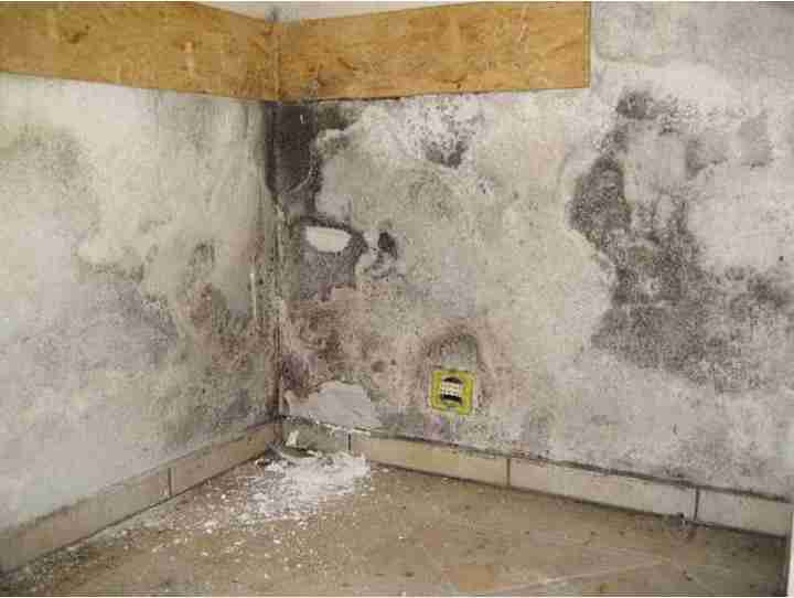 Eine Eckwand mit Wasserschaden und grauem Schimmel an der Wand. Schimmelbefall, Schimmelbildung, Schimmel nach Wasserschaden. Ein Wasserschaden kann oftmals auch gesundheitliche Risiken mit sich bringen, die dann über das offensichtliche Problem von feuchten Wänden oder beschädigten Böden hinausgehen. Die Feuchtigkeit, die durch einen Wasserschaden in die Strukturen eines Gebäudes eindringt, schafft ein ideales Umfeld für das Wachstum von Schimmelpilzen und Bakterien. Diese können schwerwiegende Auswirkungen auf die Gesundheit haben, insbesondere wenn sie nicht fachgerecht und schnellstmöglich beseitigt werden.