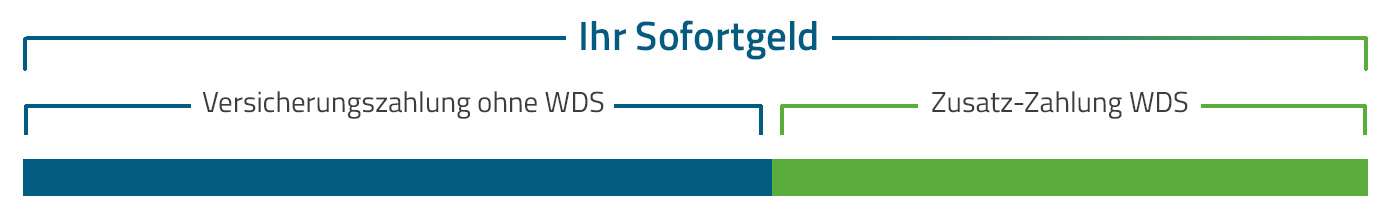 Grafik zur Darstellung: Sofortgeld: Wie geht das? WDS zahlt Ihnen sofort und unbürokratisch die bereits zugesicherte Versicherungsleistung + ein zusätzliches Geld aus. Abtretung an uns und wir verhandeln den mit Ihrer Versicherung!