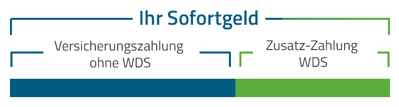 Grafik zur mobilen Darstellung: Sofortgeld: Wie geht das? WDS zahlt Ihnen sofort und unbürokratisch die bereits zugesicherte Versicherungsleistung + ein zusätzliches Geld aus. Abtretung an uns und wir verhandeln den mit Ihrer Versicherung!