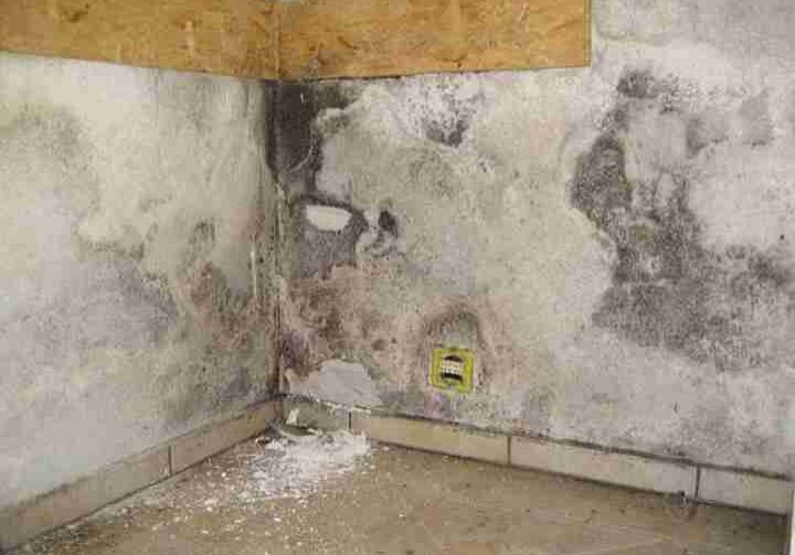 Schimmel Wand Eine Eckwand mit Wasserschaden und grauem Schimmel an der Wand. Schimmelbefall, Schimmelbildung, Schimmel nach Wasserschaden. Ein Wasserschaden kann oftmals auch gesundheitliche Risiken mit sich bringen, die dann über das offensichtliche Problem von feuchten Wänden oder beschädigten Böden hinausgehen. Die Feuchtigkeit, die durch einen Wasserschaden in die Strukturen eines Gebäudes eindringt, schafft ein ideales Umfeld für das Wachstum von Schimmelpilzen und Bakterien. Diese können schwerwiegende Auswirkungen auf die Gesundheit haben, insbesondere wenn sie nicht fachgerecht und schnellstmöglich beseitigt werden.